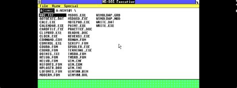 Image result for Windows 1.0 Debug Command