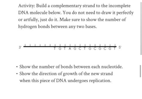 Image result for Complementary Protein Synthesis Strand