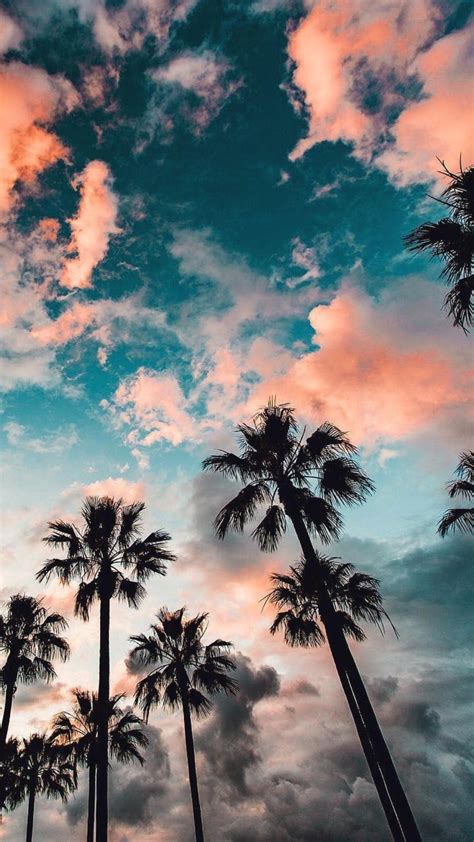 Nature Aesthetic Wallpaper 的图像结果