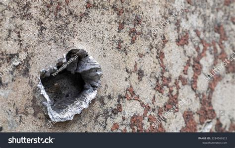 Image result for Armor Piercing Shell Cutaway