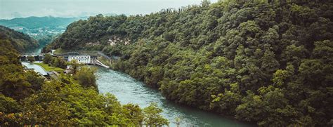 Shakti Sustainable Energy Foundation