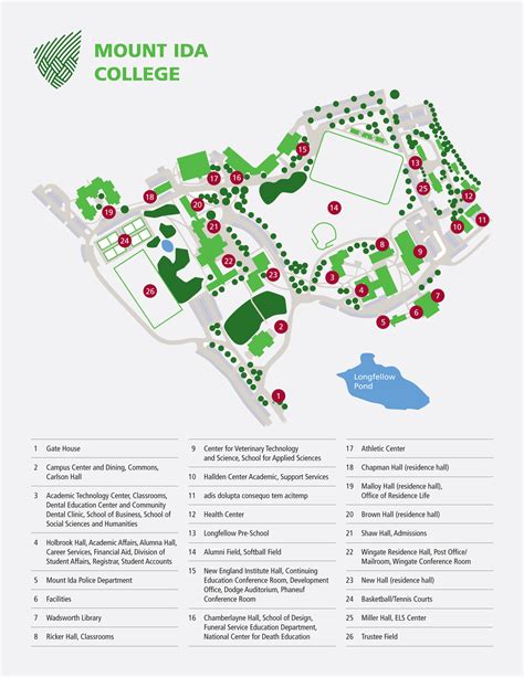 David Wong | Graphic Designer