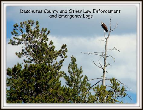 In the News: News for La Pine and Surrounding Communities - Bend ...