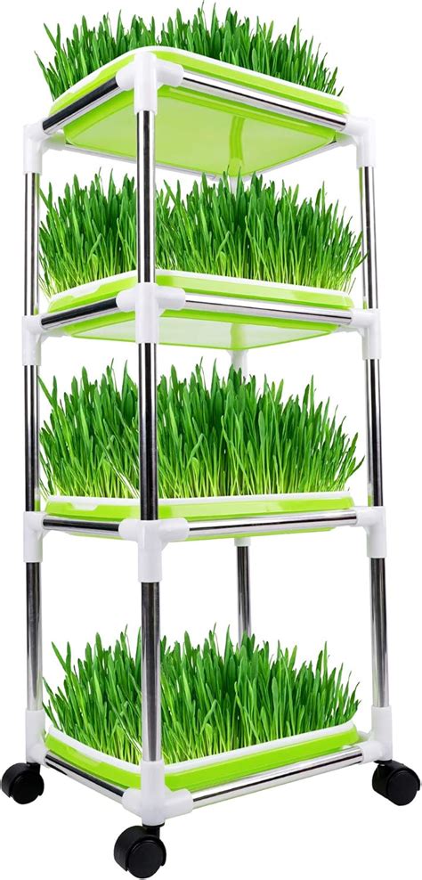 FiGoal 4 Layers Sprout Tray with Super Strength India | Ubuy