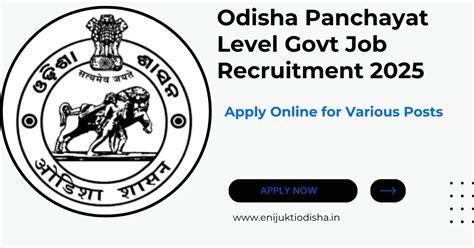 Odisha Panchayat Level Govt Job Recruitment 2025 - Apply Online for ...