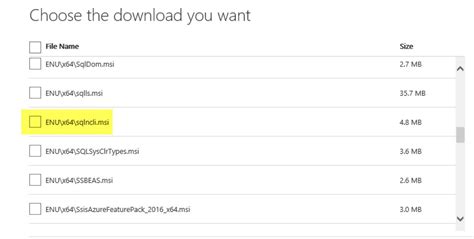 Image result for SQL Server 2019 Native Client