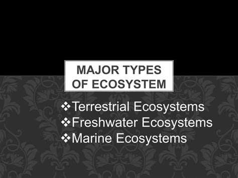 Ecosystem Type 的图像结果
