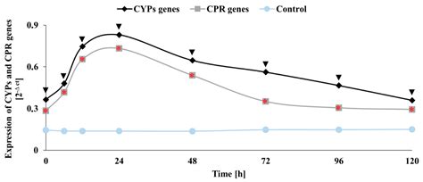Biodegradation of Chloroxylenol by Cunninghamella elegans IM 1785/21GP ...