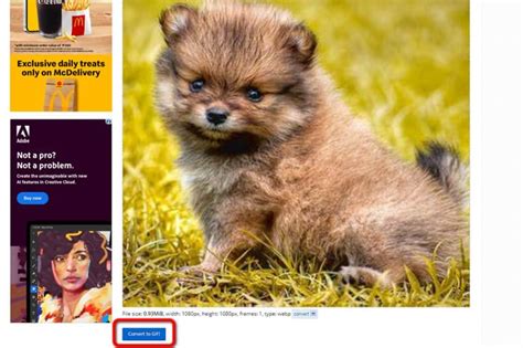 WebP File to GIF 的图像结果