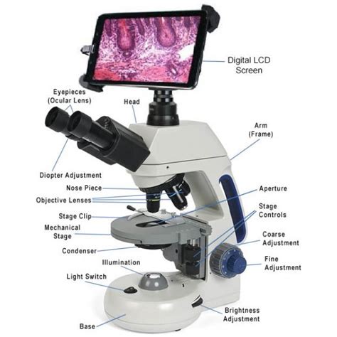 Image result for Computer Microscope
