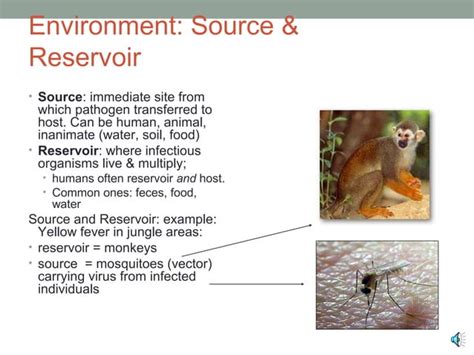Image result for Host-Pathogen