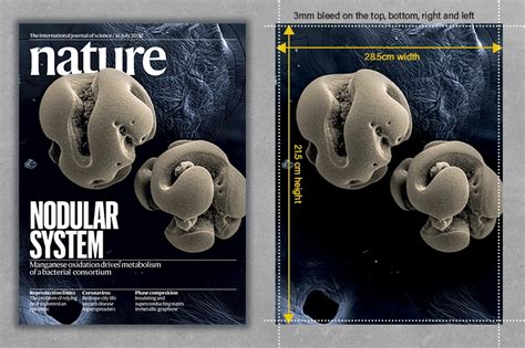 Nature Journal Cover 的图像结果