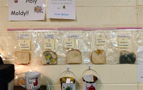 Image result for Falling Bread Experiment