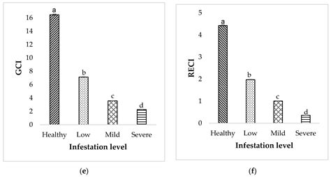 Detection of Bagworm Infestation Area in Oil Palm Plantation Based on ...