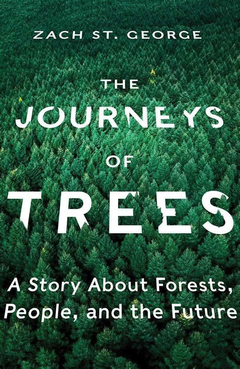 'The Journeys Of Trees': Forests Migrate, But Not Fast Enough For ...