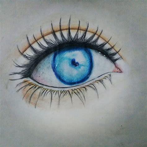 Eye || pencil colour | Eye drawing, Beauty creatures, Beauty hacks video