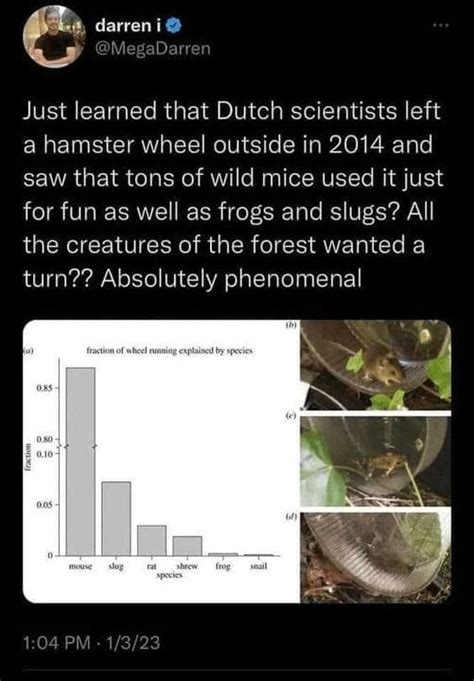 Science Notebook Background Funny 的图像结果