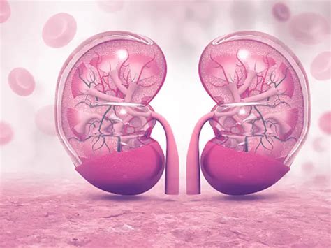 This woman is the world's first living HIV-positive kidney donor - Who ...