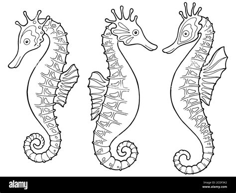 Seahorse Clip Art Black And White
