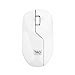 (Refurbished) TAG WM600 Wireless Mouse | 1200 DPI Optical Sensor | 2.4 ...