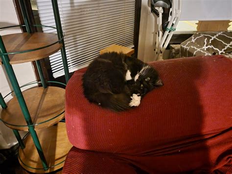 Slideshow: Samsung Galaxy S21 Ultra Camera