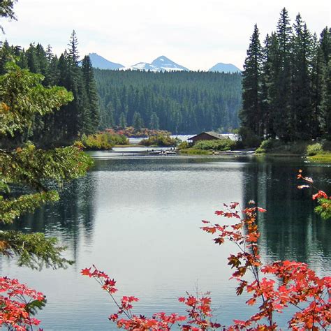 Vital Records - Linn County Health Services