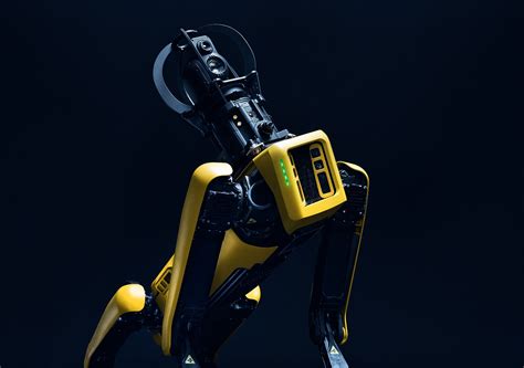 Robotics Top Robot 的图像结果