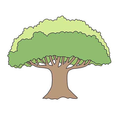 Image result for How to Draw a Simple Large Tree