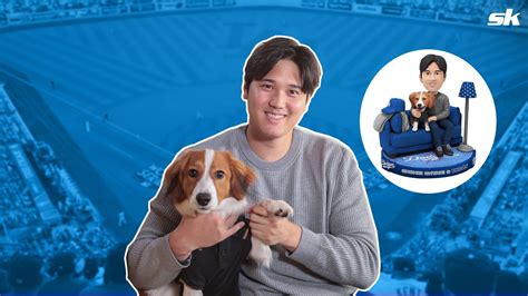 Bobblehead Syndrome In Dogs at Matthew Brunskill blog