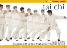 Tai Chi Flow Motion 的图像结果