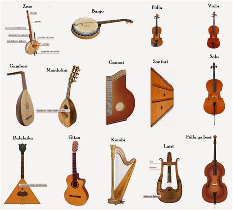 Image result for Stringed Instruments