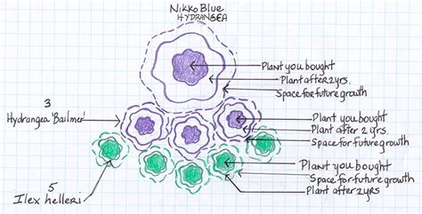 Space Between Plants 的图像结果