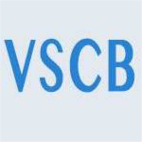 Image result for vs Code Blue Baby