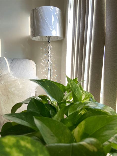 Image result for Python Code Pothos