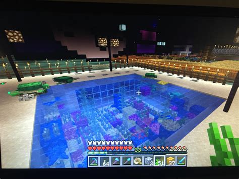 Image result for Minecraft Turtle Farm Tutorial