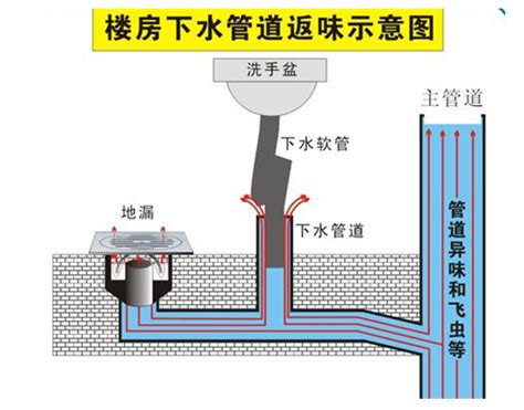 如何预防下水道堵塞-楼盘网