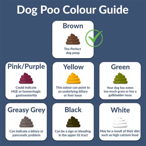 Colour Of Dog Poop