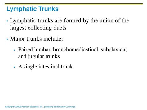 Image result for Lymph trunk Lymphatic System