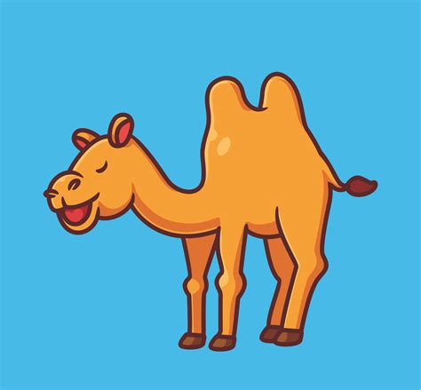 Camel Hump