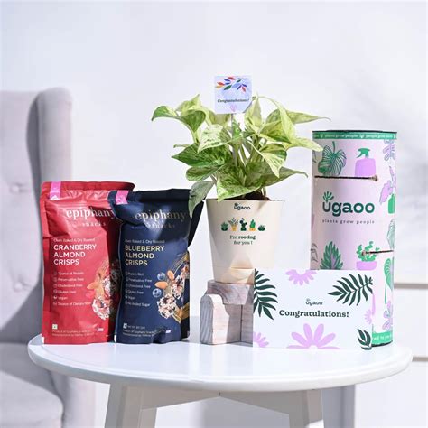 Money Plant Marble Congratulations Gift hamper – Ugaoo