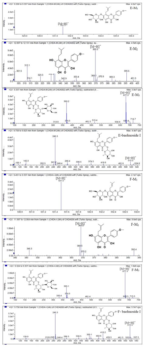 A Comparative Study on the Metabolism of Epimedium koreanum Nakai ...