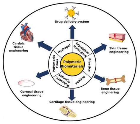 A Critical Review on Polymeric Biomaterials for Biomedical Applications