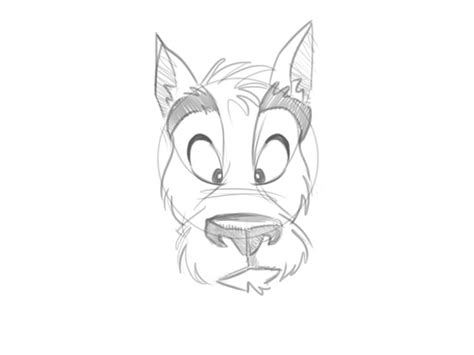 Image result for How2DrawAnimals Cartoon