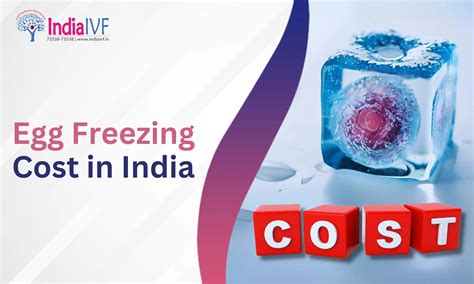 Egg Freezing Cost in India – Affordable & Transparent Pricing at India ...