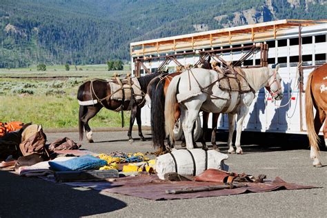 UC Davis Summer Horsepacking Courses Start Soon | Stable Management