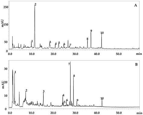 Physico-Chemical and Phytochemical Characterization of Moroccan Wild ...