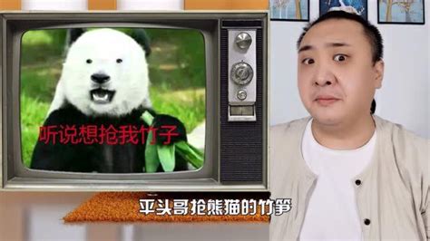 平头哥抢熊猫的竹笋，犯法吗？
