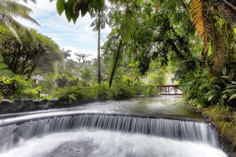 Costa Rica Tours: Tabacón Hot Springs Full Day - Arenal