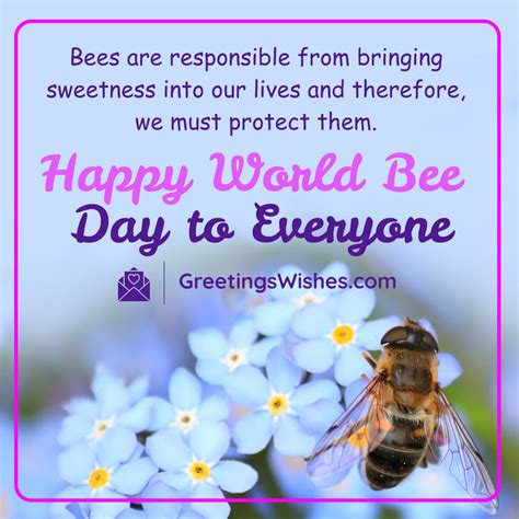 World Bee Day Wishes and Messages to Celebrate Pollinators (20 May ...