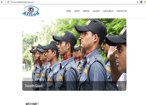 Expert Script| Portfolio